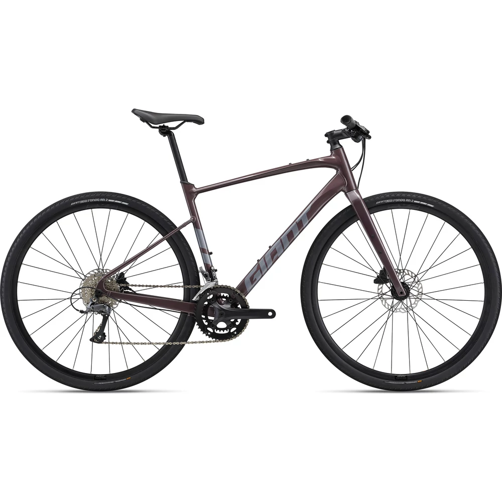 Giant FASTROAD AR 3 Charcoal Plum