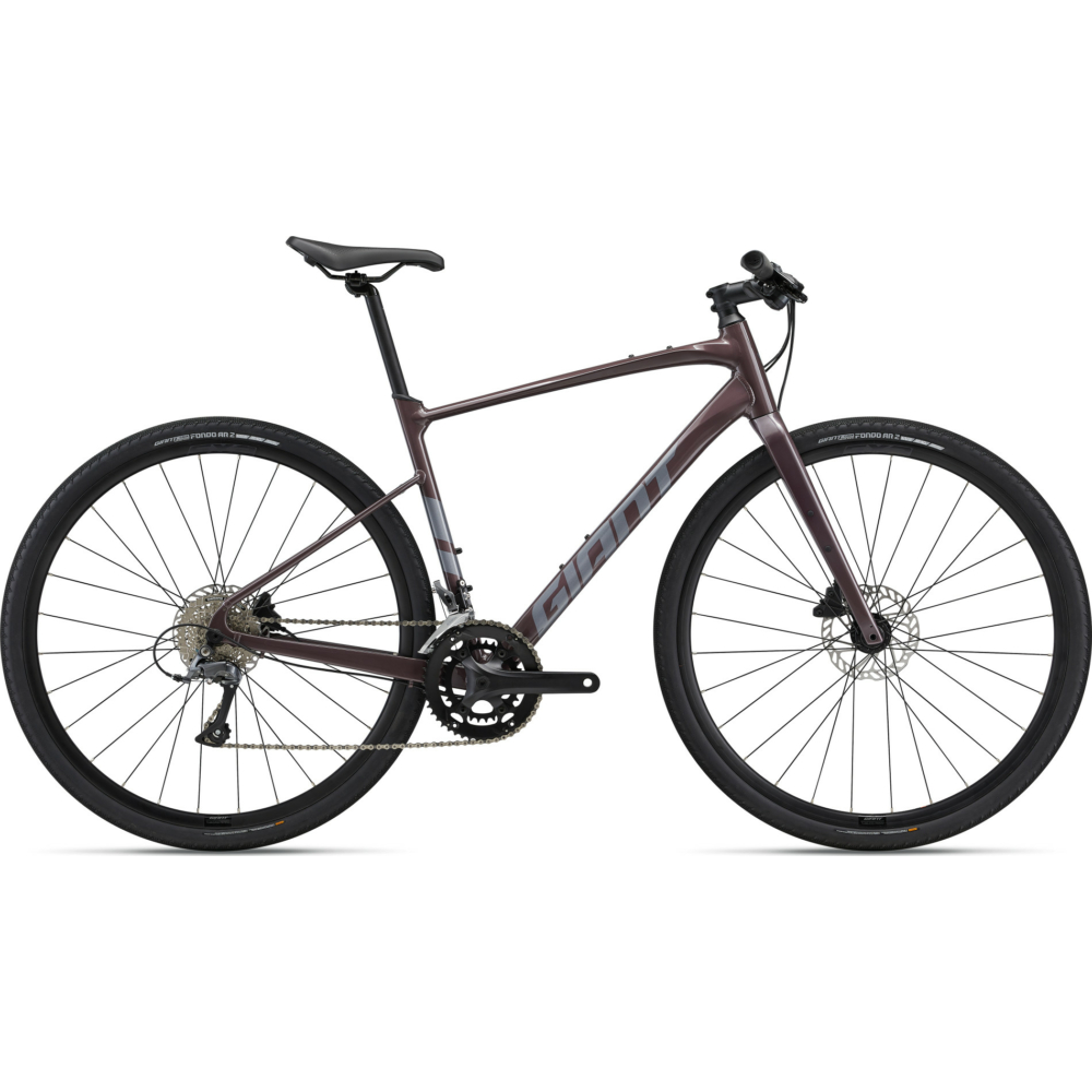 Giant FASTROAD AR 3 Charcoal Plum