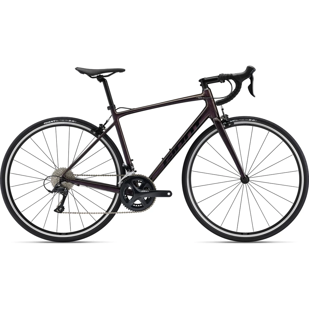 Giant CONTEND 1 Rosewood